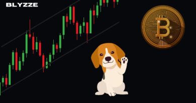 How Dogecoin’s Increase Might Affect Your Wallet