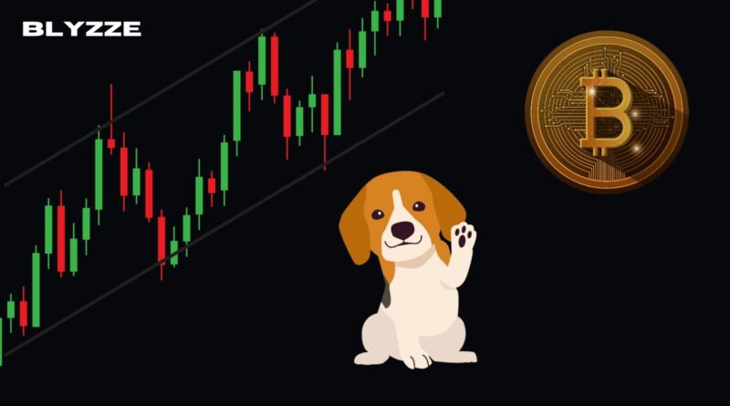 How Dogecoin’s Increase Might Affect Your Wallet